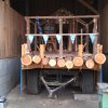 faschingszug_10
