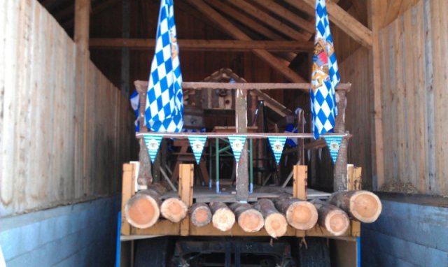 faschingszug_13